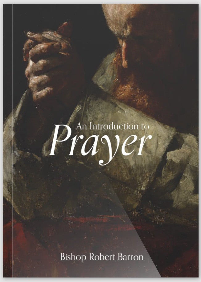 Bishop Barron An Introduction to Prayer