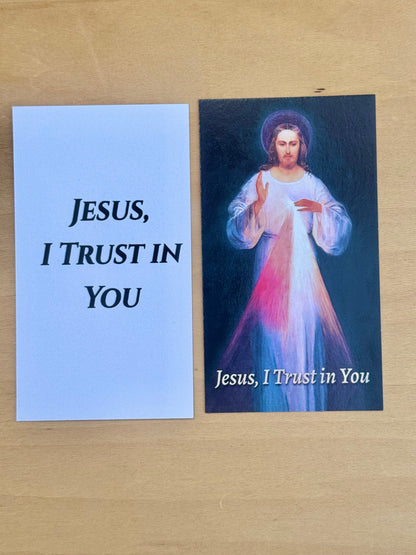 Divine Mercy Jesus Prayer Card