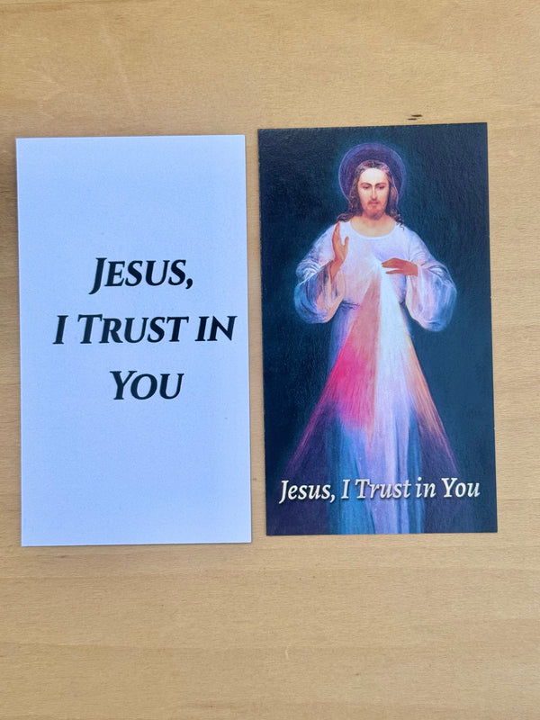 Divine Mercy Jesus Prayer Card