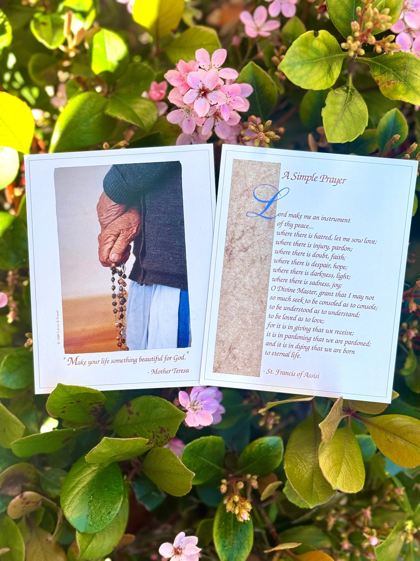 Mother Teresa Portrait & 20 Pieces of Prayer Cards